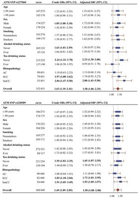 Ataxia Telangiectasia-Mutated (ATM)Polymorphisms and Risk of Lung Cancer in a Chinese Population